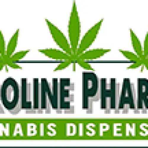 caroline567 Profile Picture