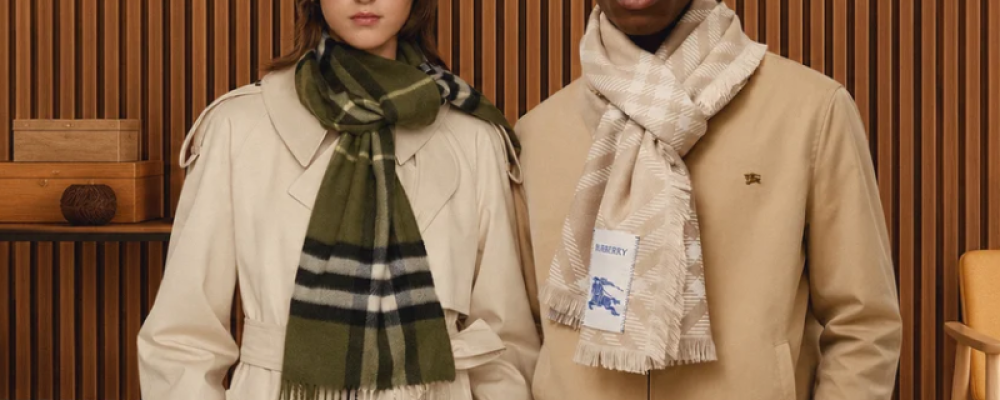 fendi scarves Cover Image
